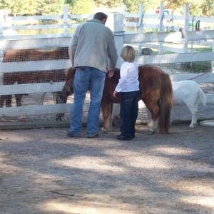 Meet your Posher, Loyd